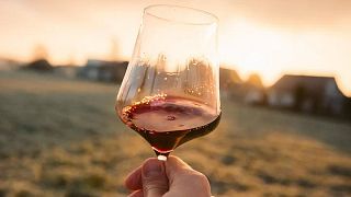 Exclusive Chianti Classico Day Trip from Florence