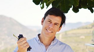 Pedro D