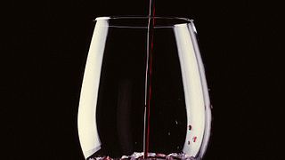 Degustazione di vini e tour alla Bodega San Martin De Abalos