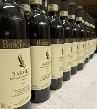 Piedmont Family Winery Tour & Tasting at Cascina Bongiovanni
