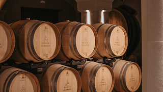 Seiterre - Tenuta San Leone