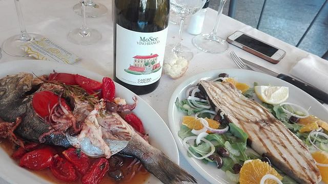 Dégustation et visite de vins à Cascina Carlot