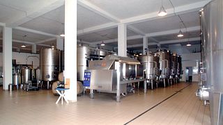 Poggio di Bortolone Winery