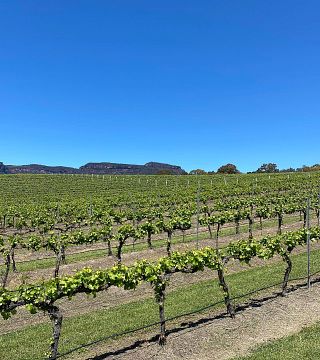 Megalong Creek Estate