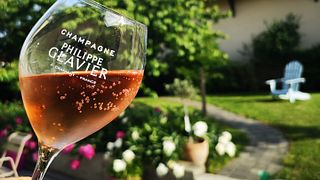 Champagne Philippe Glavier