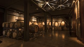Lujan De Cuyo Wine Tour