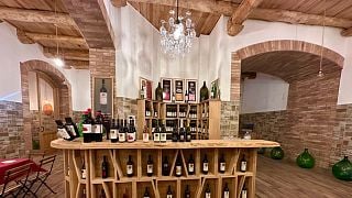 Cata de vinos de Cilento en Tenuta Girapoggio