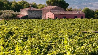 Sapori Del Vulcano Vini, Pani E Formaggi | Sciaranuova Etna