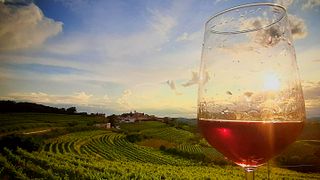 Vinprovning och rundtur på Uou Konzorcij Zapuščenih Vinogradov