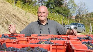 Cata de vinos y visita guiada en Giacomo Vico