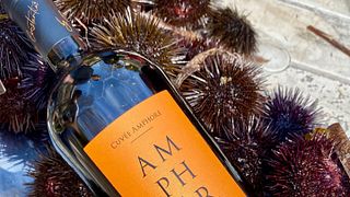 Château Constantin: A Family-Owned Organic Winery