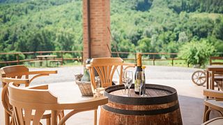 Regenerative Organic Wine Tasting at Vigna Cunial