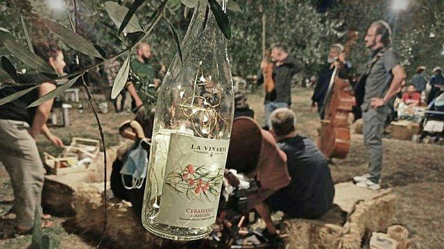 Picnic Under the Moonlight | Azienda Agricola La Vinarte