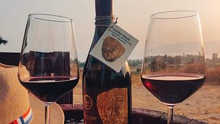 Weinprobe im S&S Winery