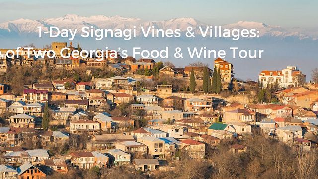 Vigne e villaggi - Tour enogastronomico premium-autentico di 1 giorno a Kakheti (Signagi).