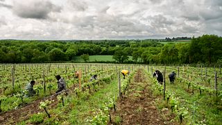 Domaine de Haute Perche