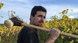 Weingut Lehnert-Veit