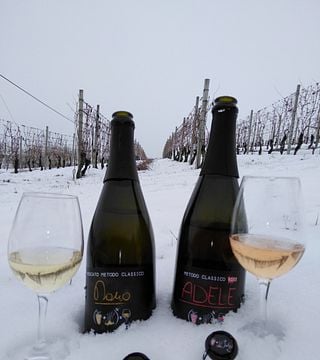 Vinos raros y maridajes inusuales: el sabor de lo inesperado