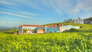 Rutas del vino Albariño, tour privado de vinos y catas