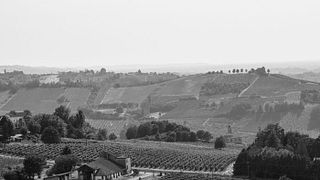 Lombardy’s La Costanza: Vineyard Tour & Wine Tasting
