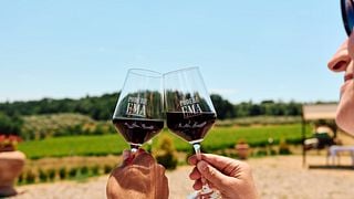 La hora dorada: aperitivo con vistas a nuestros viñedos.