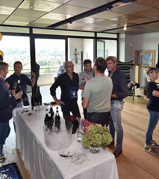 Cata de vinos y visita guiada en Gori Agricola