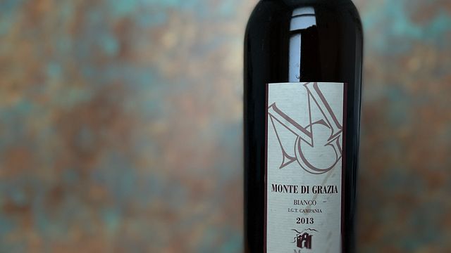 Mariage intime / Fugue dans le vignoble + Dégustation de vins et déjeuner ou dîner romantique + Photographie
