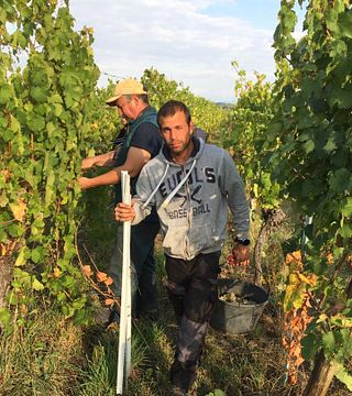 Weinprobe und Führung im Domaine Sick-Dreyer