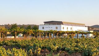 Dégustation de vins Serra Brava 3 vins et visite du canal Herdade Caveira