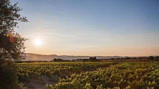 Giasira Winery