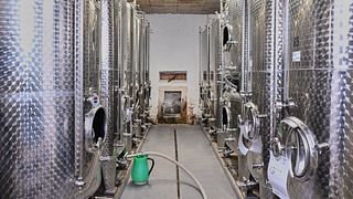 Degustazione di vini e visita alla cantina Weingut Mertz
