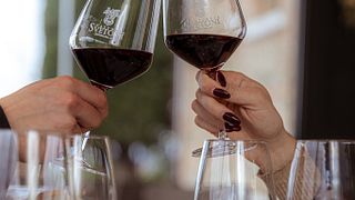 Montepulciano: Tour de Vinhos com Degustação e Aperitivos na Adega
