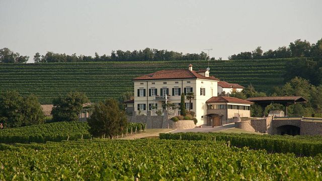 Beliebte Weinprobe und Tour bei Schiopetto