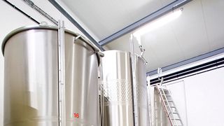 Champagne Chapuy: Cellar Tour & Grand Cru Tasting