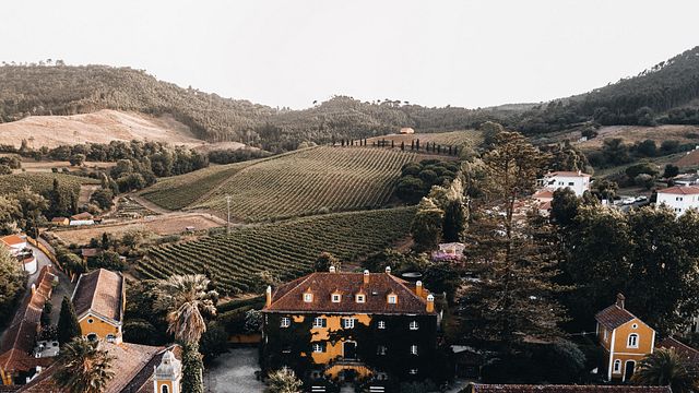 Vintage-Wein-Abenteurer in der Quinta de Sant'Ana