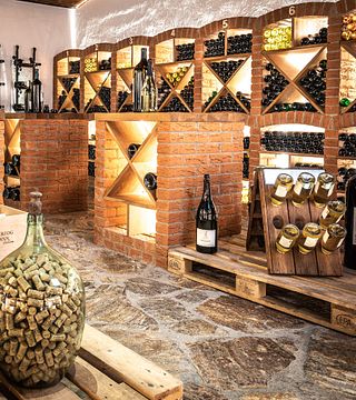 Cata de vinos y visita guiada en Erzherzog Johann Weine