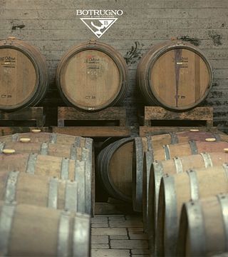 Botrugno Sergio Azienda Vitivinicola