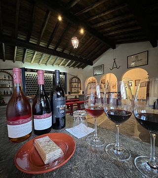 Visita guidata e degustazione di vini Talha presso Adega José De Sousa