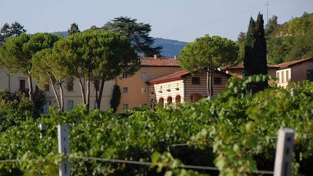 Brigaldara Winery