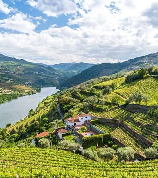 Premium Private Douro Valley Tour: Visit 3 Wineries with Wine Tastings & Lunch