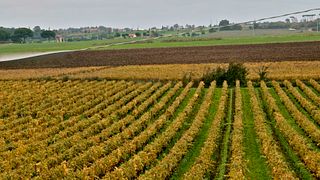 Riserva della Cascina