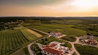 Degustação e visita à vinícola Cattunar na Ístria
