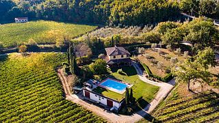 Tuscan Organic Wine & Vineyard Tour at Manvi + tasting of 3 wines