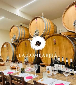 Degustazione di vini e tour a La Combarbia
