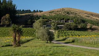 Visita guiada à vinícola Netherwood