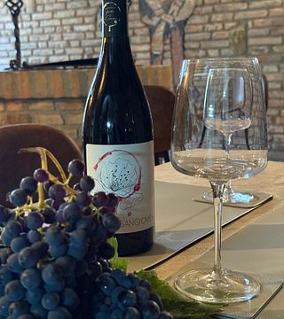 Degustação de Vinhos Autênticos em Vinícola Familiar