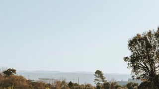 Aventura en el viñedo