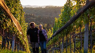 Arret Wines