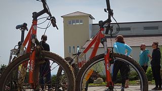 Ruta del vino de un día en bicicleta: descubre las bodegas cercanas a Bucarest