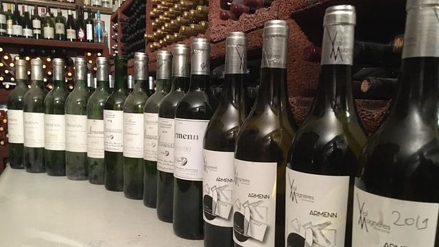 Visite et dégustation de vins au Domaine Vial Magneres